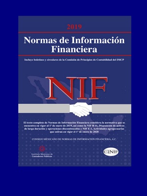 Normas de Informacion Financiera (NIF)